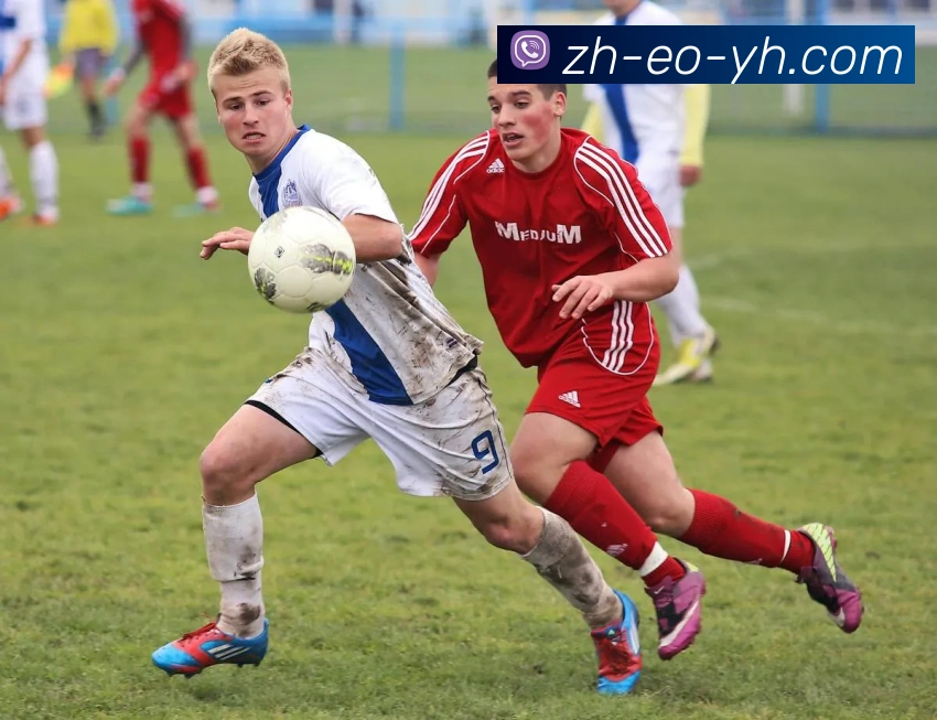 美高梅MGM官网APP 封面图